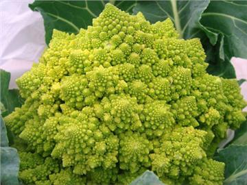 英國(guó)超市里的奇怪蔬菜，你喜歡吃的是哪個(gè)