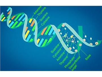 生物專業去英國留學，選擇哪些學校好