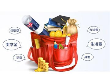 打算去英國讀高中，每年費用大概多少