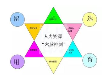 英國留學，如何正確理解人力資源管理專業？