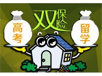 高考+留學，這樣做才是雙保險！